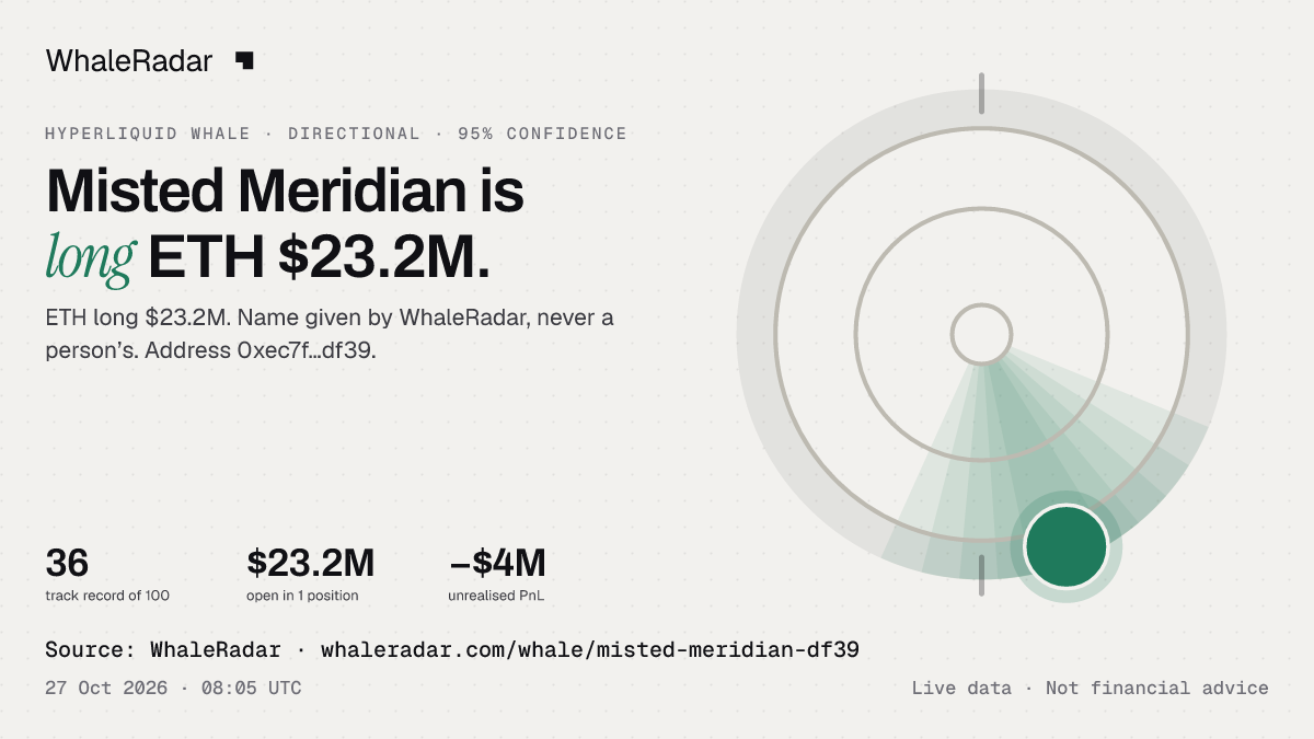 Misted Meridian: 글리프, 트랙 레코드, 가장 큰 포지션, 기사에 바로 쓸 수 있습니다.