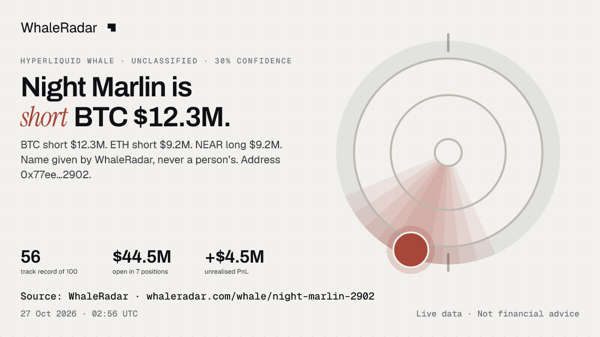 Night Marlin: its glyph, its record and its largest positions, ready for your story.