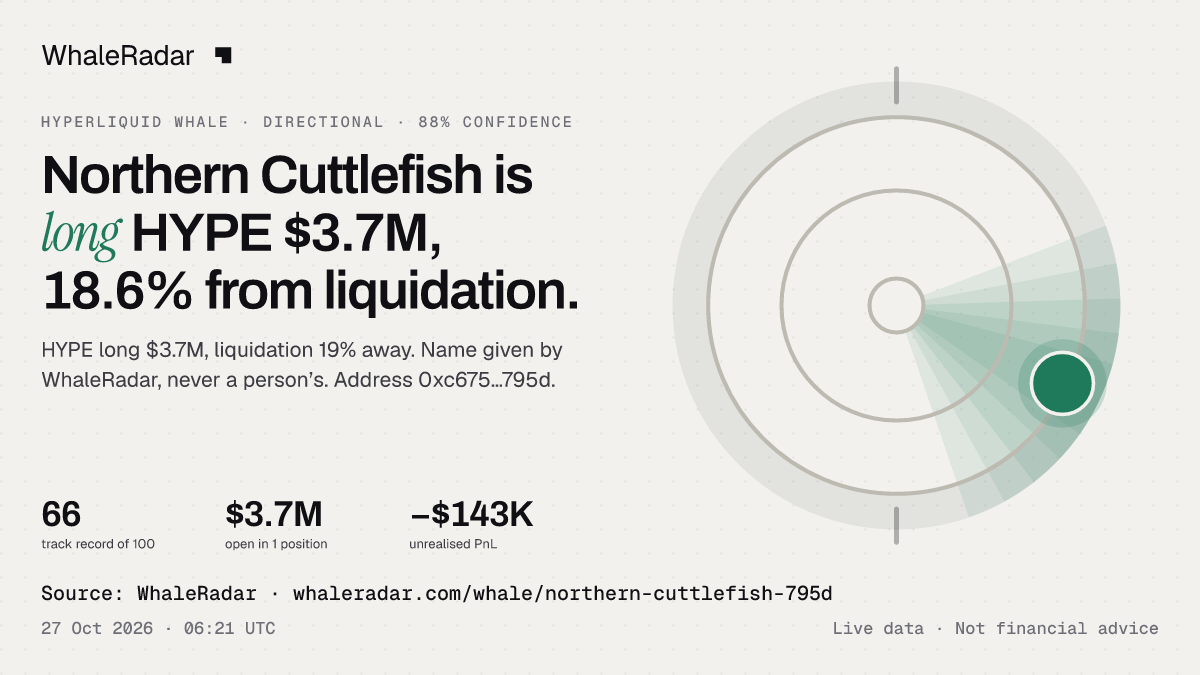 Northern Cuttlefish: 글리프, 트랙 레코드, 가장 큰 포지션, 기사에 바로 쓸 수 있습니다.