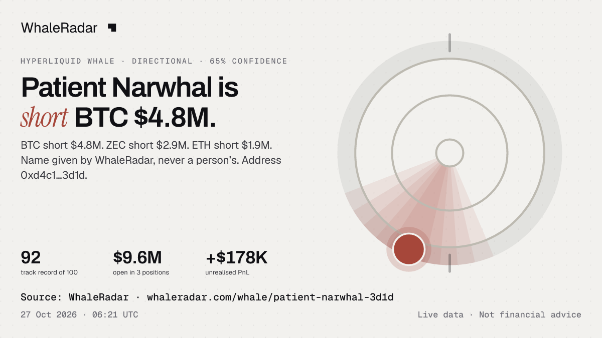 Patient Narwhal: 글리프, 트랙 레코드, 가장 큰 포지션, 기사에 바로 쓸 수 있습니다.