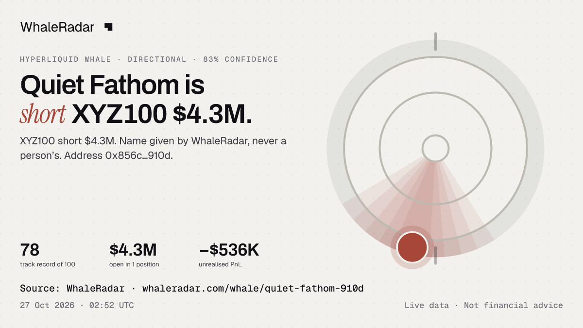 Quiet Fathom: its glyph, its record and its largest positions, ready for your story.