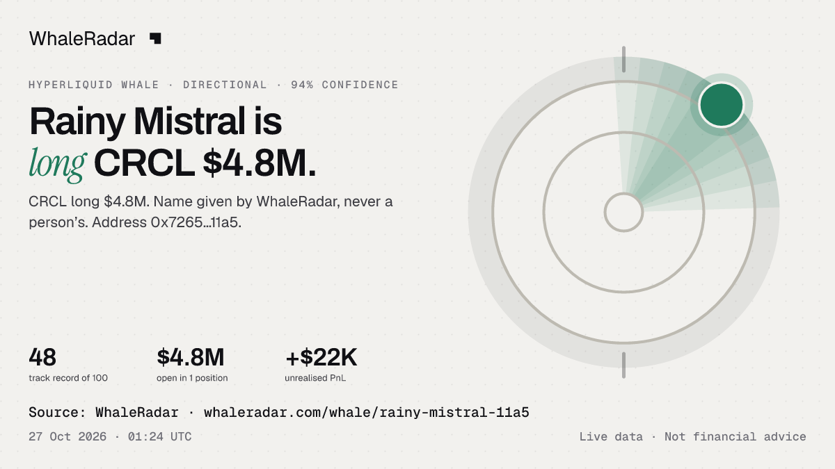 「Rainy Mistral」:标志、战绩和最大仓位,可直接用于你的报道。