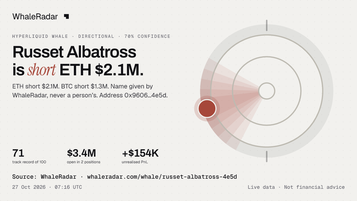 Russet Albatross: 글리프, 트랙 레코드, 가장 큰 포지션, 기사에 바로 쓸 수 있습니다.