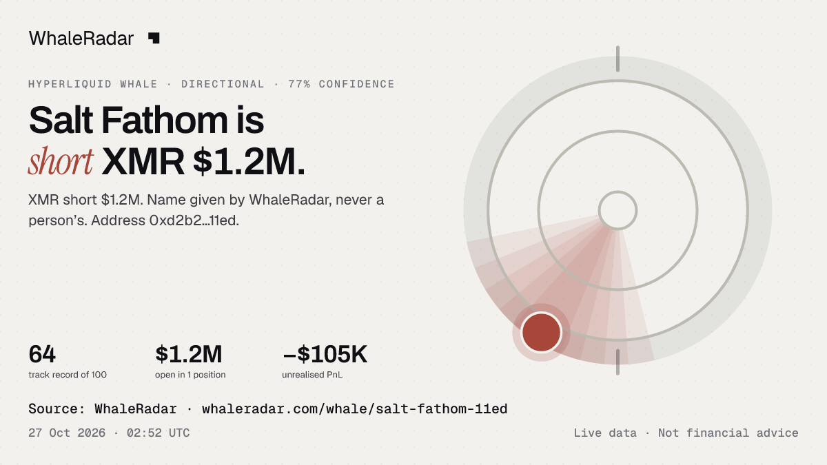 Salt Fathom: its glyph, its record and its largest positions, ready for your story.