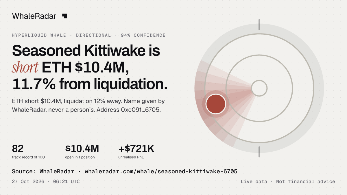 Seasoned Kittiwake: 글리프, 트랙 레코드, 가장 큰 포지션, 기사에 바로 쓸 수 있습니다.