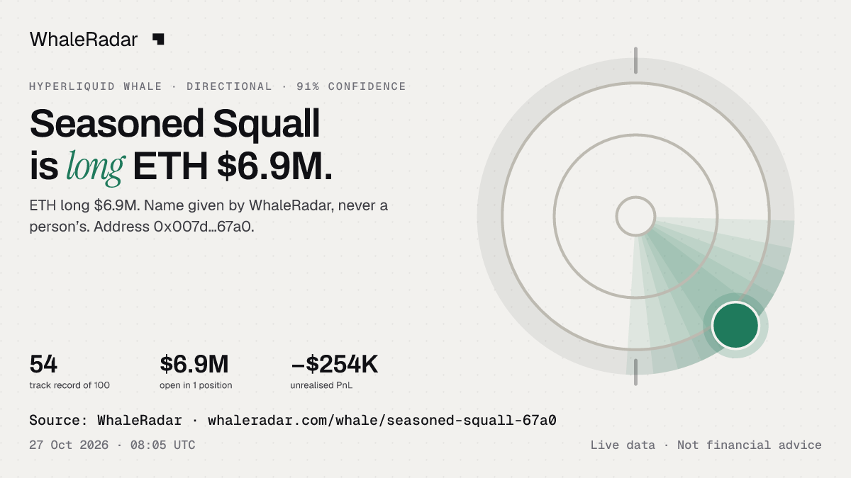 Seasoned Squall: 글리프, 트랙 레코드, 가장 큰 포지션, 기사에 바로 쓸 수 있습니다.