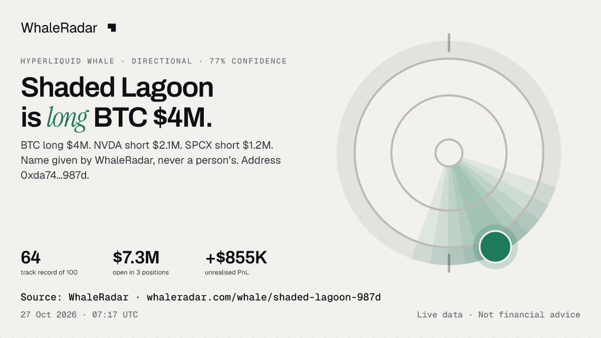 Shaded Lagoon: 글리프, 트랙 레코드, 가장 큰 포지션, 기사에 바로 쓸 수 있습니다.