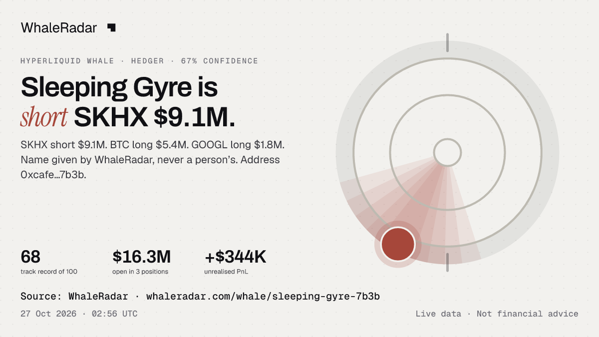 Sleeping Gyre: its glyph, its record and its largest positions, ready for your story.