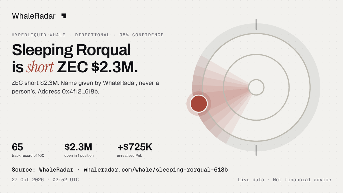 Sleeping Rorqual: its glyph, its record and its largest positions, ready for your story.
