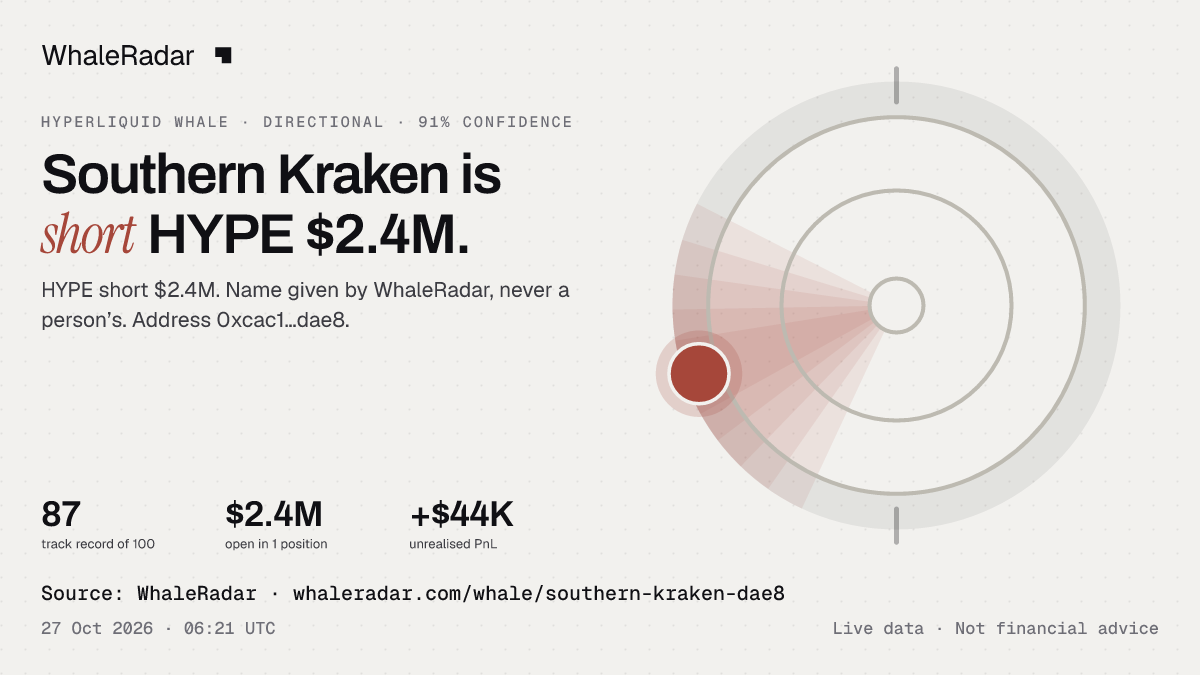 Southern Kraken: 글리프, 트랙 레코드, 가장 큰 포지션, 기사에 바로 쓸 수 있습니다.
