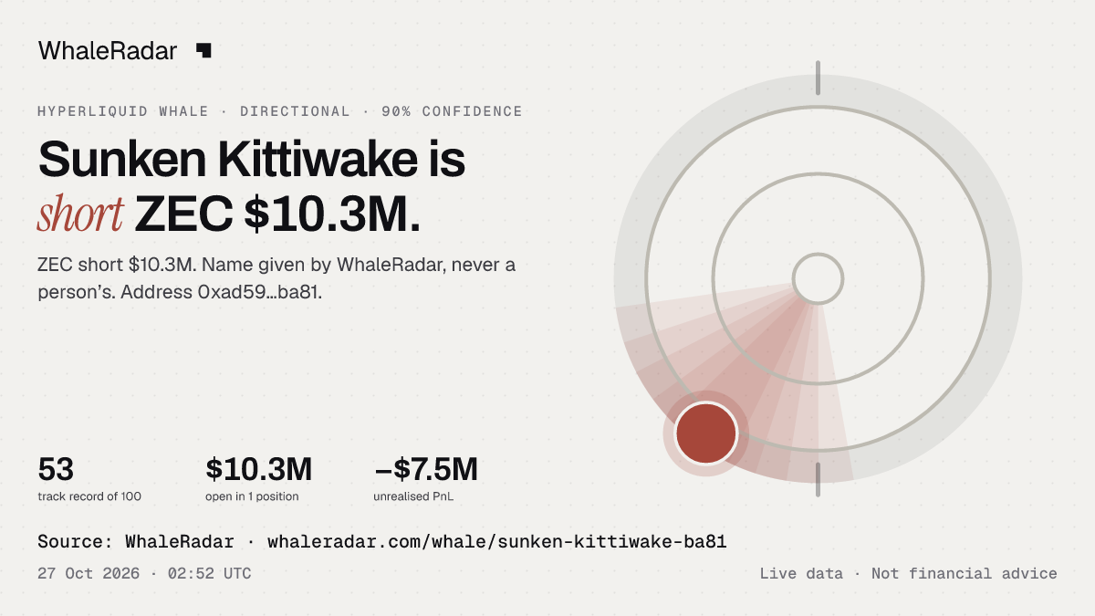 Sunken Kittiwake: its glyph, its record and its largest positions, ready for your story.