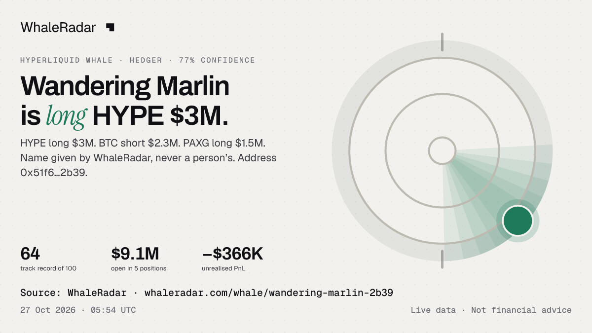 Wandering Marlin: 글리프, 트랙 레코드, 가장 큰 포지션, 기사에 바로 쓸 수 있습니다.
