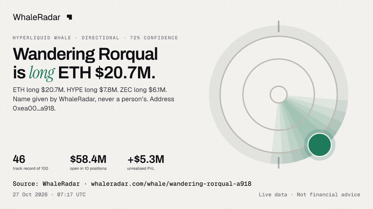 Wandering Rorqual: 글리프, 트랙 레코드, 가장 큰 포지션, 기사에 바로 쓸 수 있습니다.