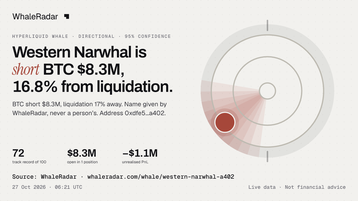 Western Narwhal: 글리프, 트랙 레코드, 가장 큰 포지션, 기사에 바로 쓸 수 있습니다.