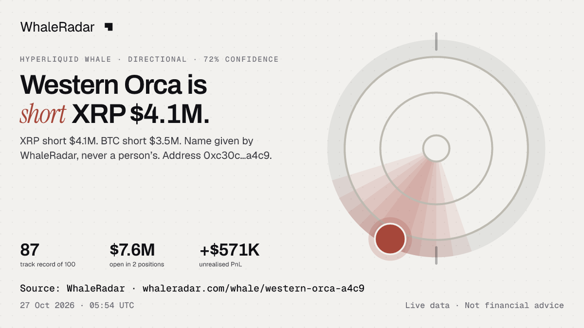 Western Orca: 글리프, 트랙 레코드, 가장 큰 포지션, 기사에 바로 쓸 수 있습니다.