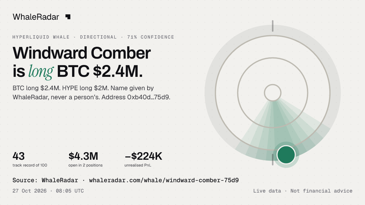 Windward Comber: 글리프, 트랙 레코드, 가장 큰 포지션, 기사에 바로 쓸 수 있습니다.