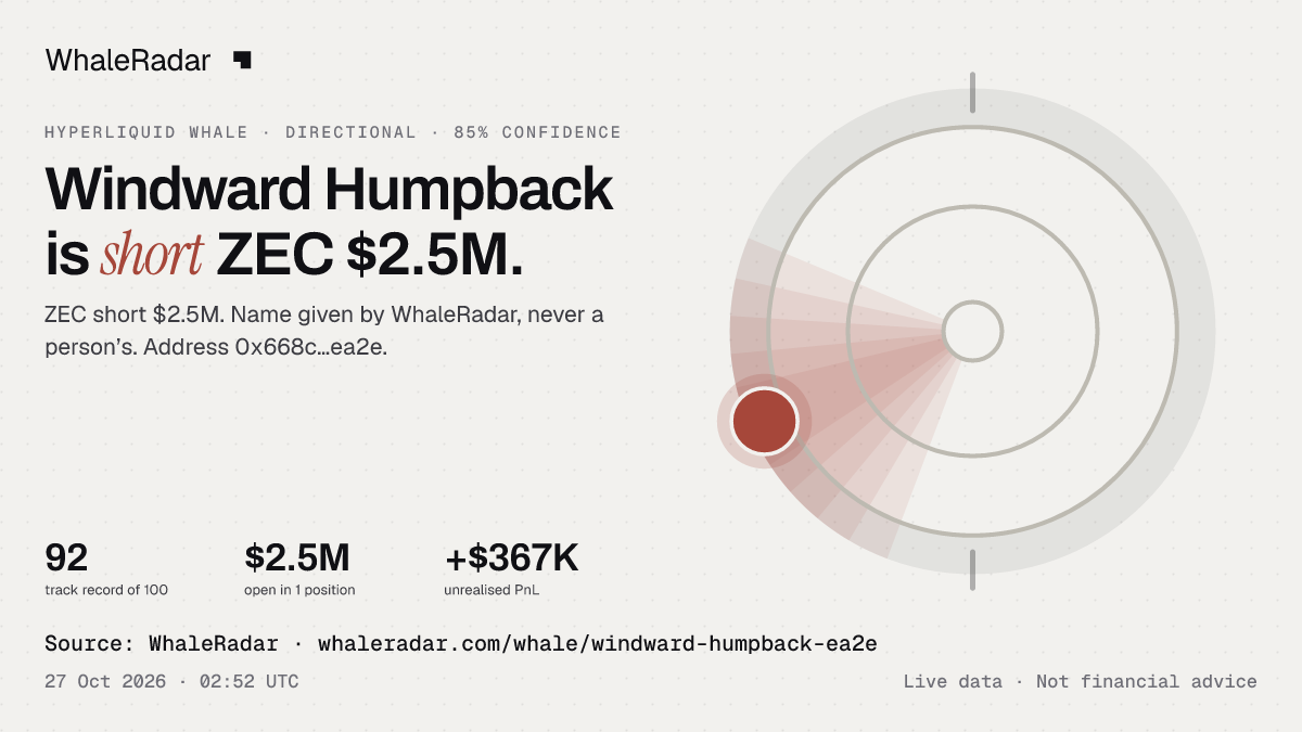 Windward Humpback: its glyph, its record and its largest positions, ready for your story.