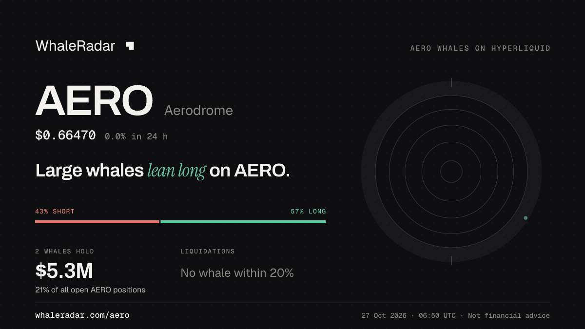 AERO 공유 카드: 대형 고래, AERO 롱 우세.