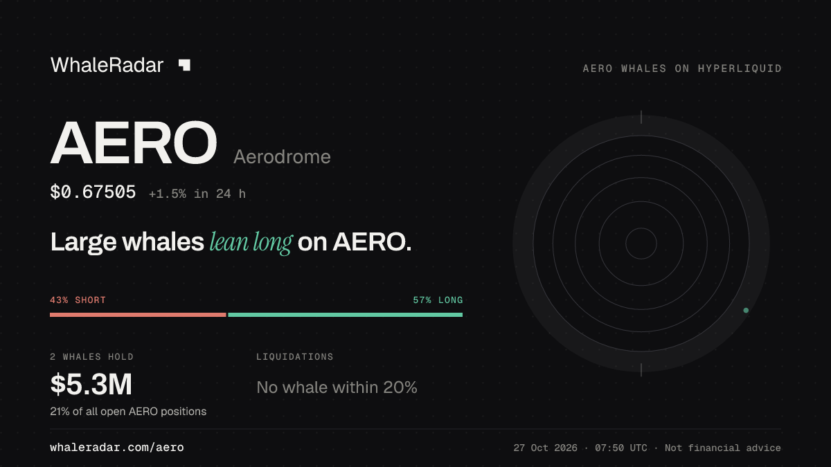AERO 공유 카드: 대형 고래, AERO 롱 우세.
