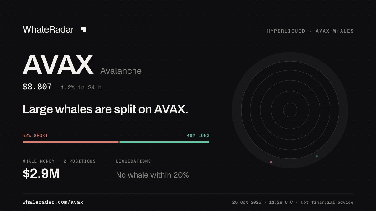 AVAX 分享卡片:大户在 AVAX 上多空分歧。