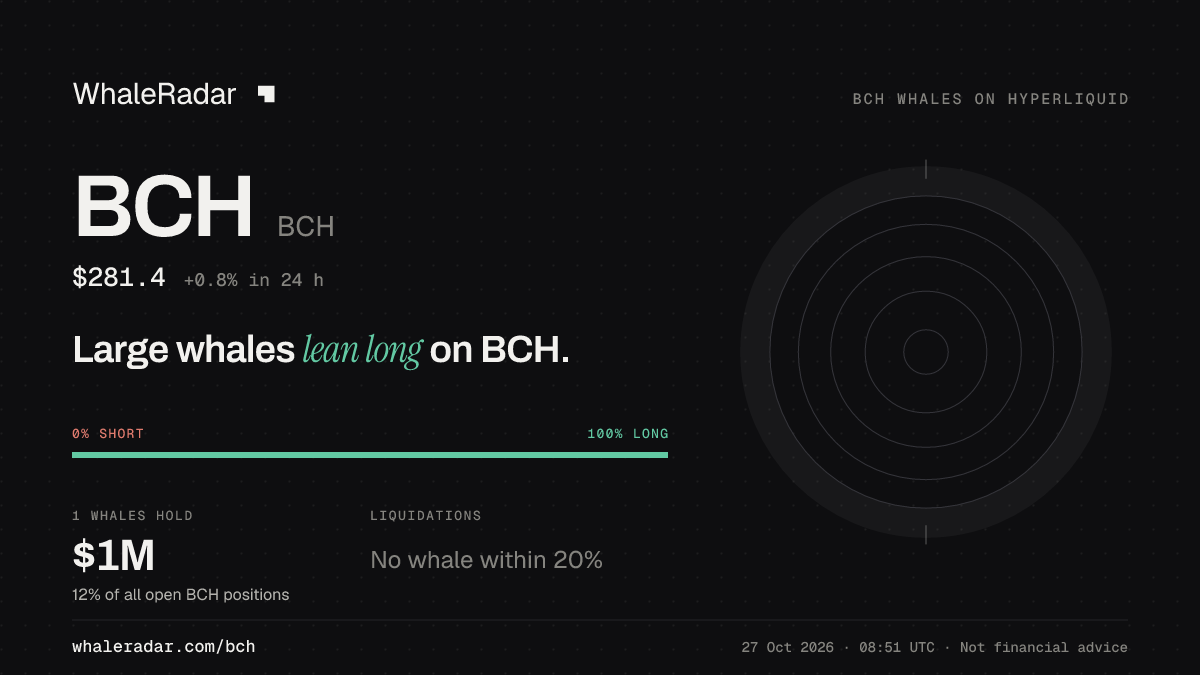 Share card for BCH: Large whales lean long on BCH.
