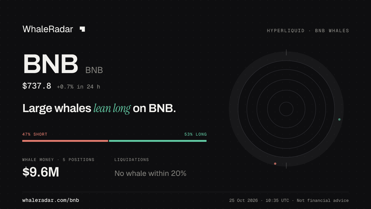 BNB 分享卡片:大户整体偏多 BNB。