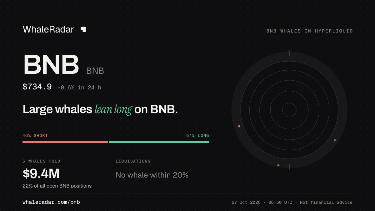 BNB 공유 카드: 대형 고래, BNB 롱 우세.