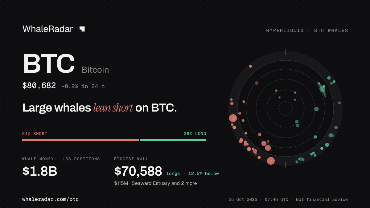 Share card for BTC: Large whales lean short on BTC.