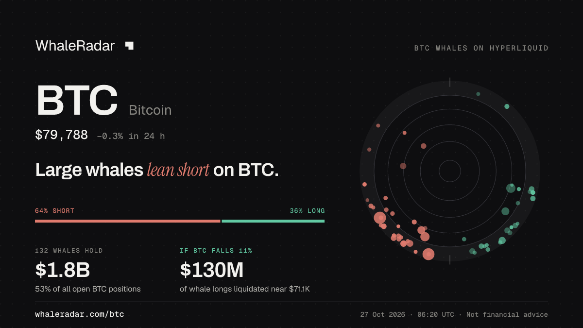 BTC 공유 카드: 대형 고래, BTC 숏 우세.