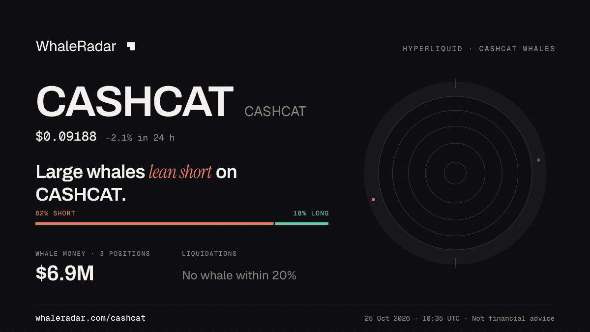Share card for CASHCAT: Large whales lean short on CASHCAT.