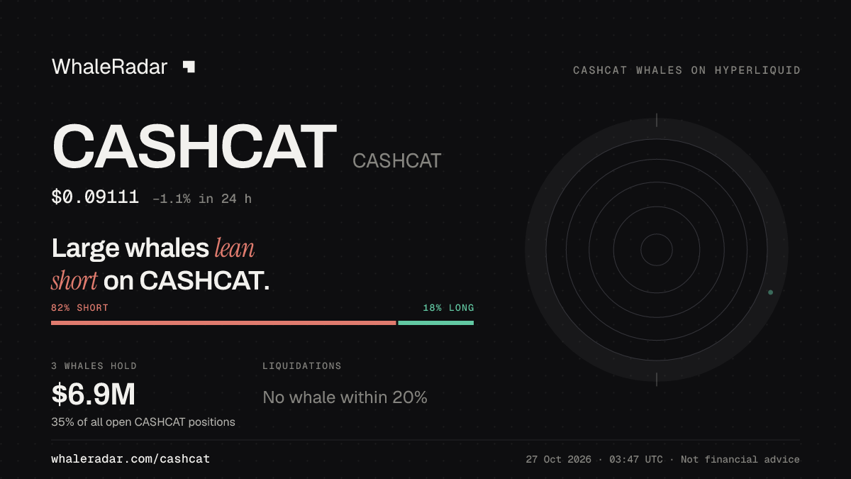 Share card for CASHCAT: Large whales lean short on CASHCAT.