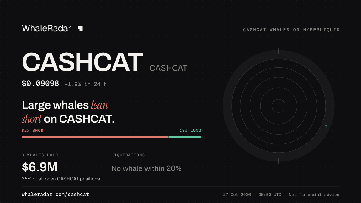 CASHCAT 공유 카드: 대형 고래, CASHCAT 숏 우세.