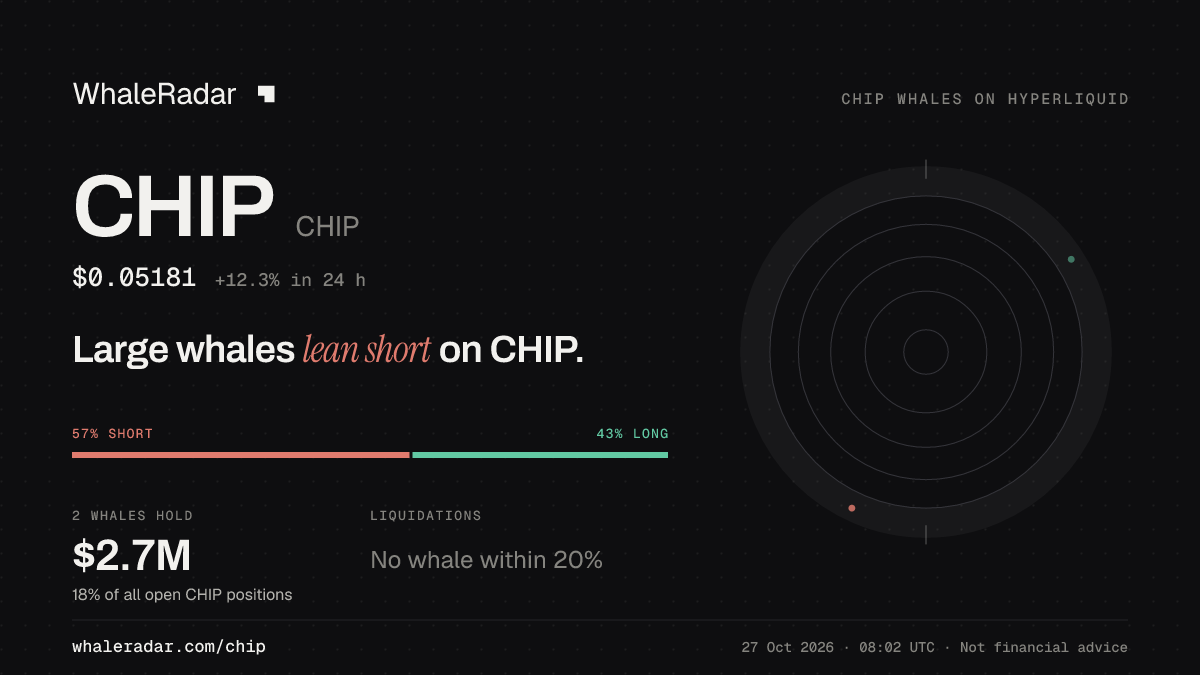 Share card for CHIP: Large whales lean short on CHIP.