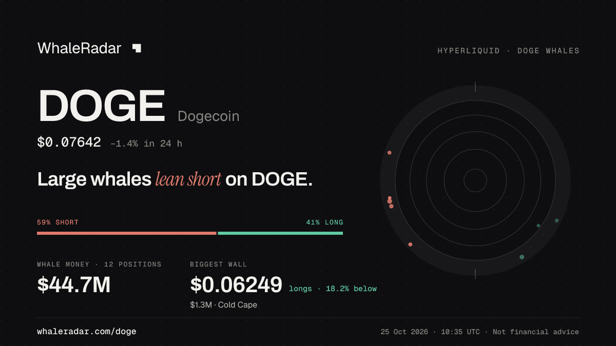 Share card for DOGE: Large whales lean short on DOGE.