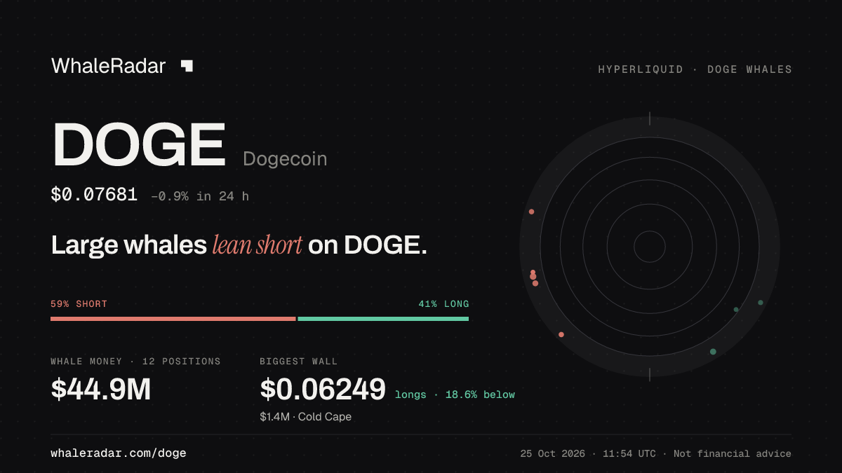 Share card for DOGE: Large whales lean short on DOGE.