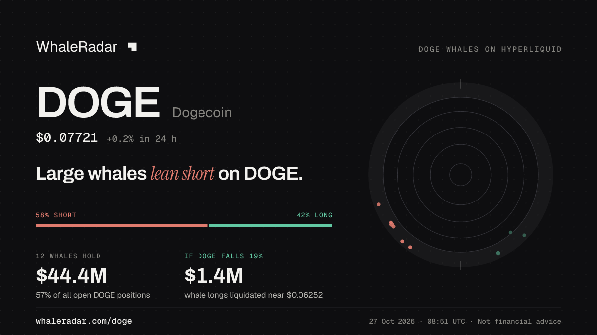 DOGE 공유 카드: 대형 고래, DOGE 숏 우세.