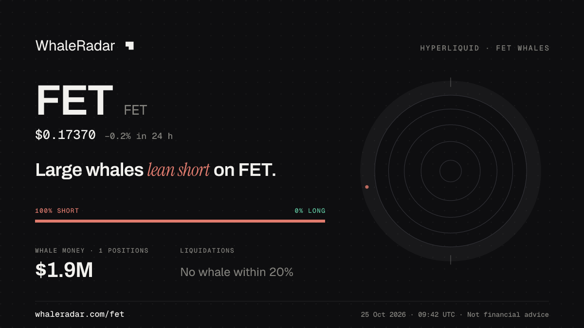 Share card for FET: Large whales lean short on FET.