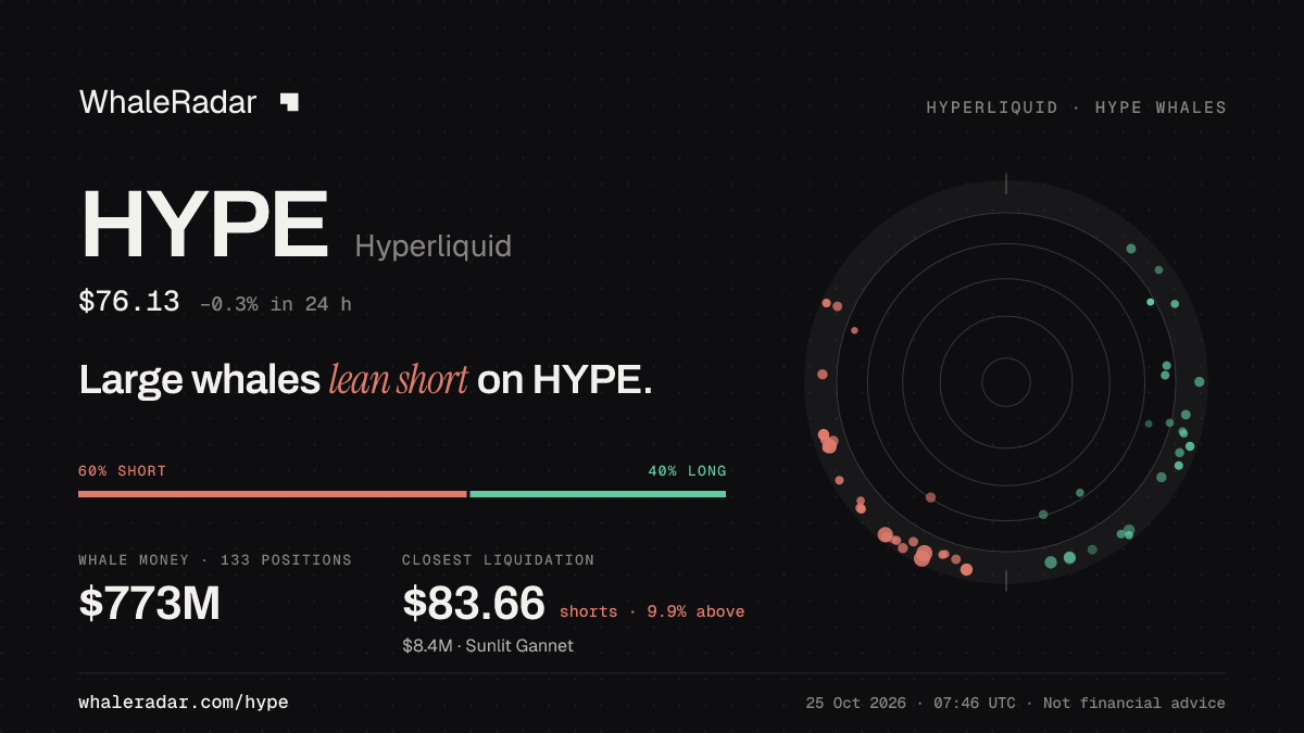 Share card for HYPE: Large whales lean short on HYPE.