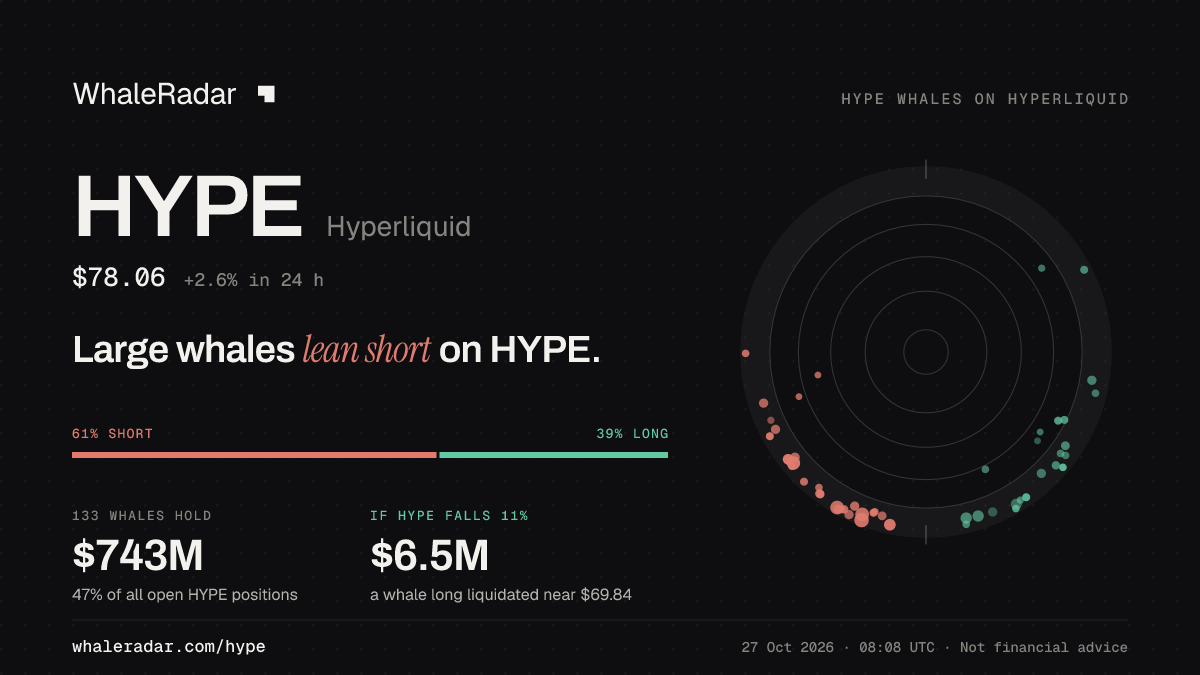 Share card for HYPE: Large whales lean short on HYPE.