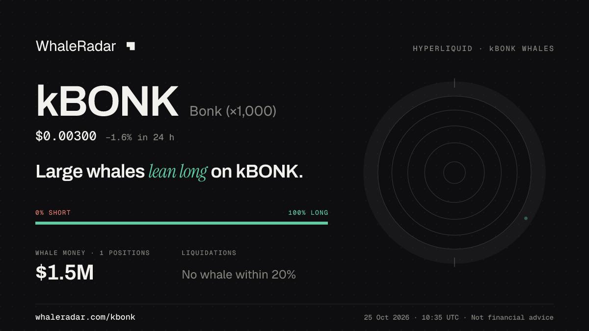 Share card for kBONK: Large whales lean long on kBONK.