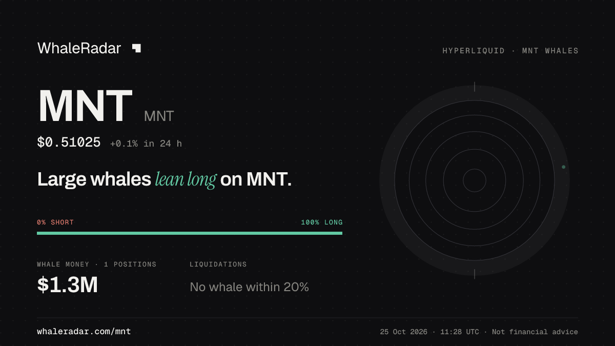 MNT 分享卡片:大户整体偏多 MNT。