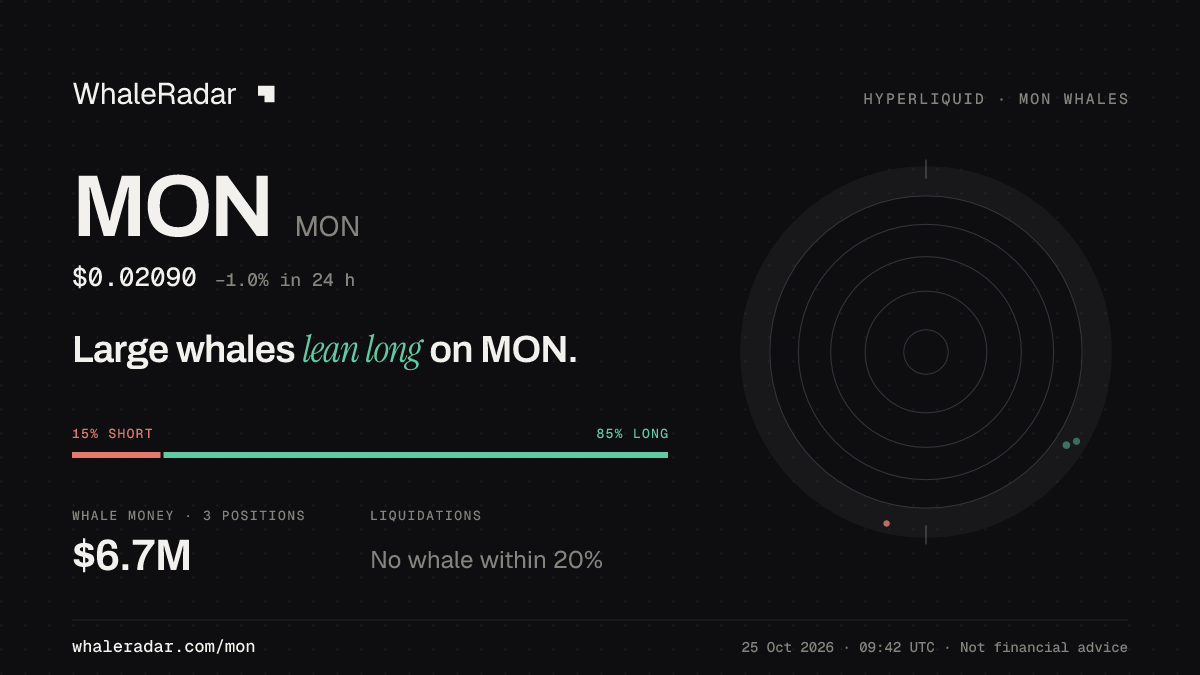 Share card for MON: Large whales lean long on MON.