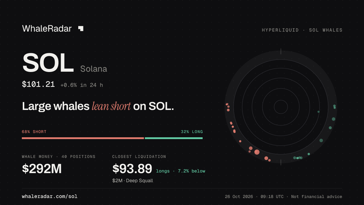 Share card for SOL: Large whales lean short on SOL.