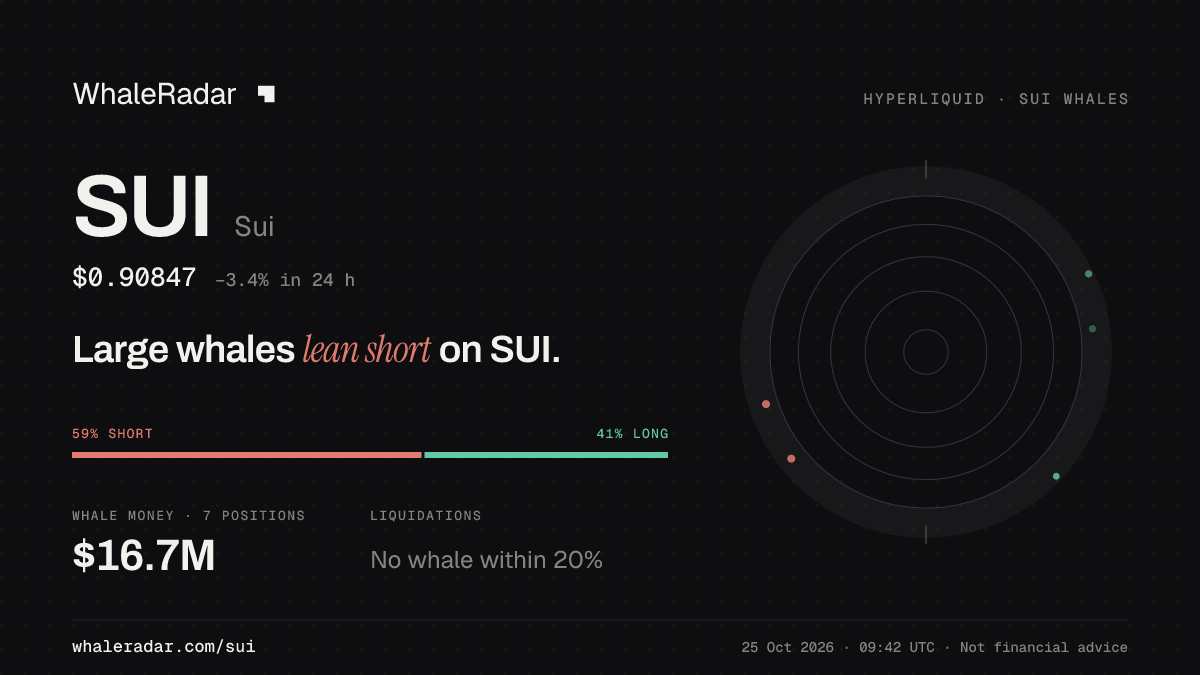 SUI 分享卡片:大户整体偏空 SUI。