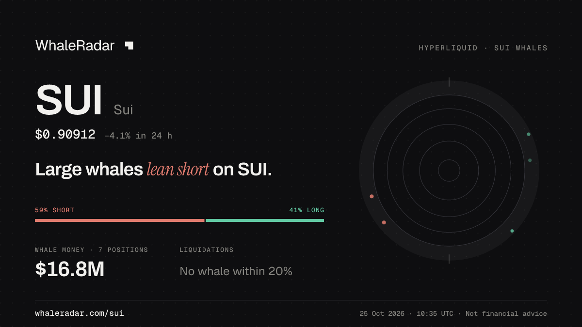 SUI 分享卡片:大户整体偏空 SUI。
