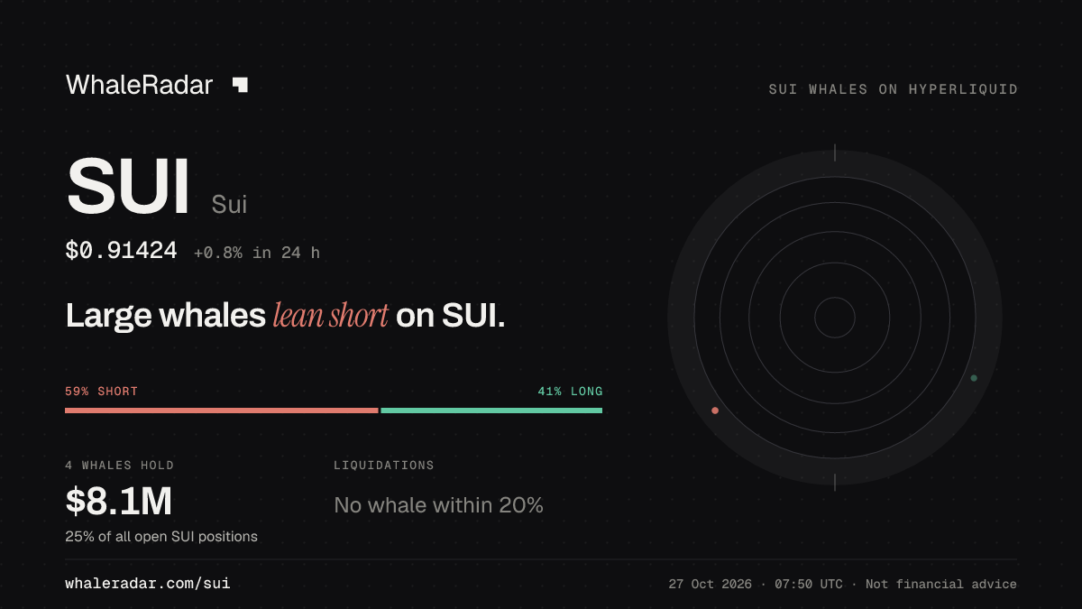 SUI 공유 카드: 대형 고래, SUI 숏 우세.