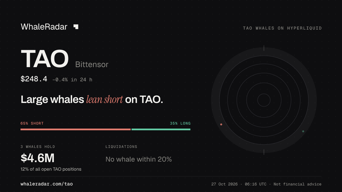 TAO 공유 카드: 대형 고래, TAO 숏 우세.