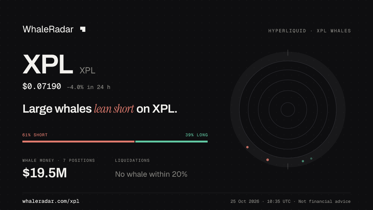 XPL 分享卡片:大户整体偏空 XPL。