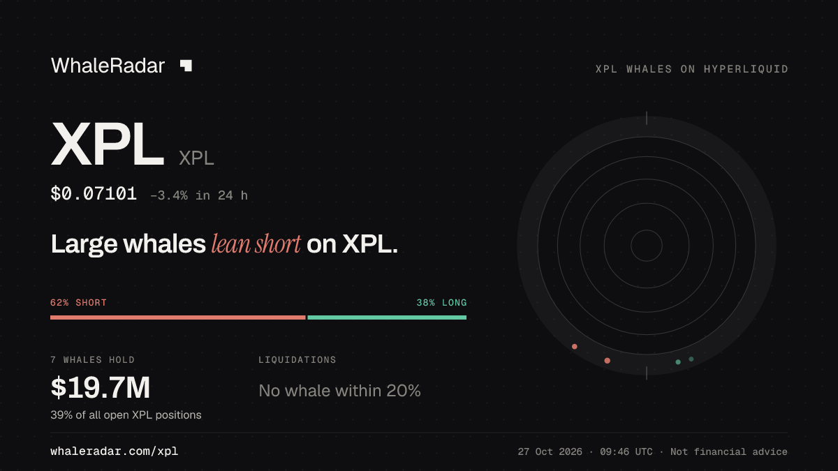 XPL 공유 카드: 대형 고래, XPL 숏 우세.