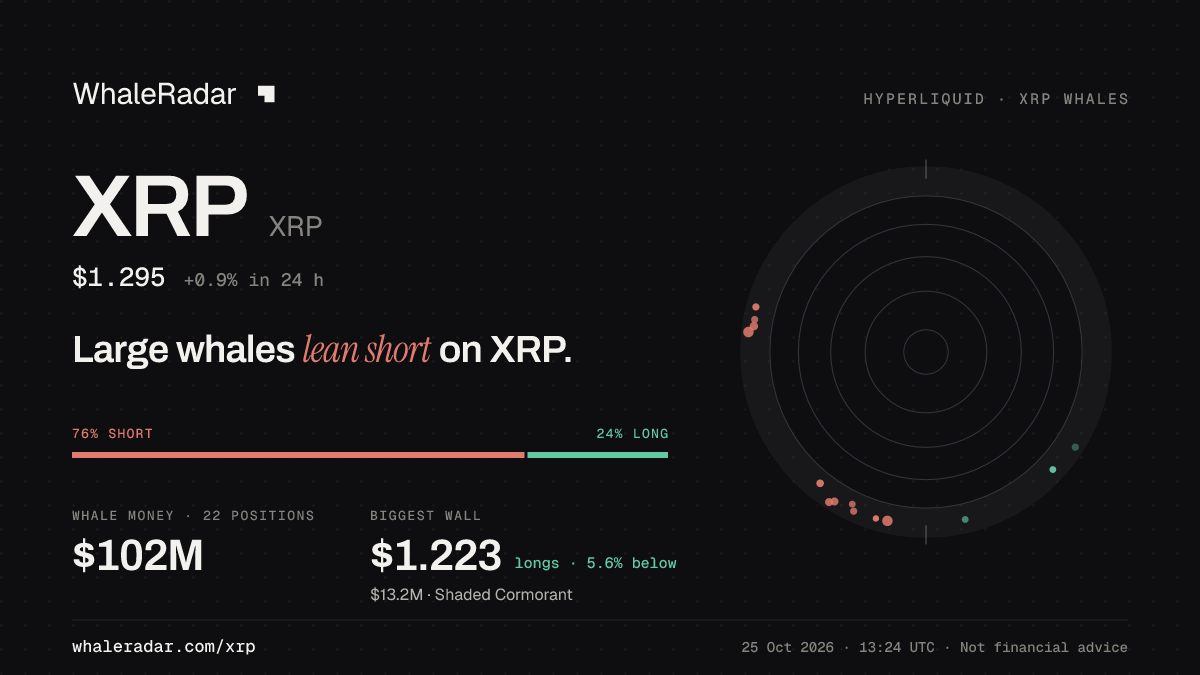 Share card for XRP: Large whales lean short on XRP.